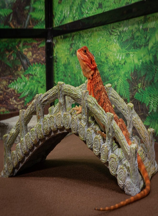 CAROLINACUSTOMCAGES جسر الزواحف، رمادي خشبي، ملحق لموئل الزواحف - Image 2
